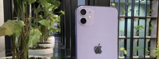 iPhone 11限時(shí)促銷價(jià)為46999盧比