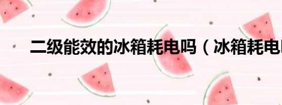 二級能效的冰箱耗電嗎（冰箱耗電嗎）
