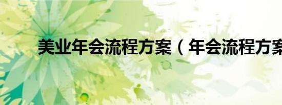 美業(yè)年會流程方案（年會流程方案）