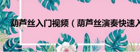 葫蘆絲入門視頻（葫蘆絲演奏快速入門）