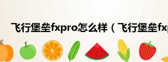 飛行堡壘fxpro怎么樣（飛行堡壘fxpro）