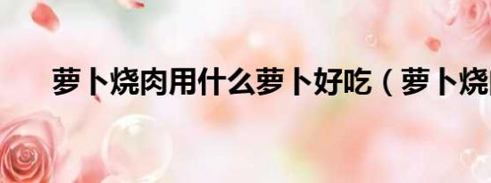 蘿卜燒肉用什么蘿卜好吃（蘿卜燒肉）