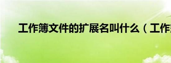 工作簿文件的擴(kuò)展名叫什么（工作簿）