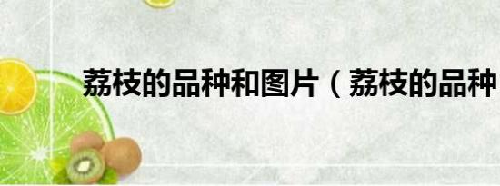 荔枝的品種和圖片（荔枝的品種）