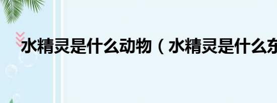 水精靈是什么動(dòng)物（水精靈是什么東西）