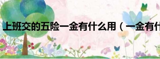上班交的五險一金有什么用（一金有什么用）