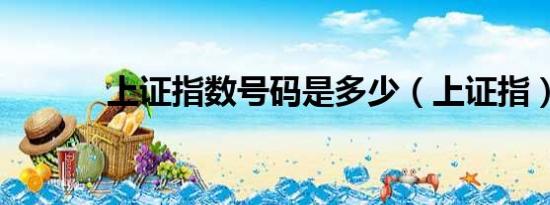 上證指數(shù)號(hào)碼是多少（上證指）