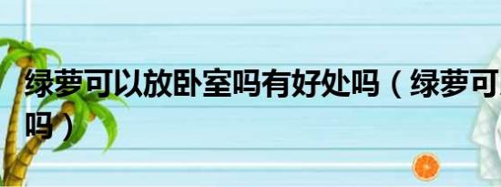綠蘿可以放臥室嗎有好處嗎（綠蘿可以放臥室嗎）