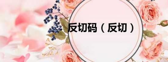 反切碼（反切）