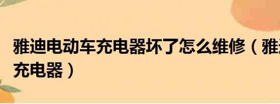 雅迪電動車充電器壞了怎么維修（雅迪電動車充電器）