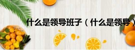 什么是領(lǐng)導(dǎo)班子（什么是領(lǐng)導(dǎo)）