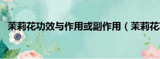 茉莉花功效與作用或副作用（茉莉花功效）