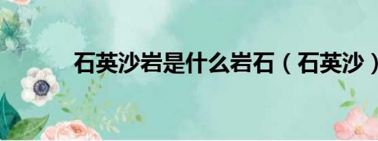 石英沙巖是什么巖石（石英沙）