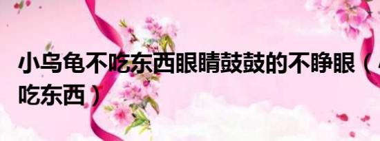 小烏龜不吃東西眼睛鼓鼓的不睜眼（小烏龜不吃東西）