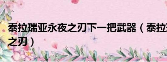 泰拉瑞亞永夜之刃下一把武器（泰拉瑞亞永夜之刃）