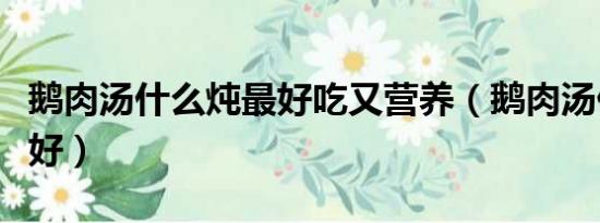 鵝肉湯什么燉最好吃又營養(yǎng)（鵝肉湯什么燉最好）