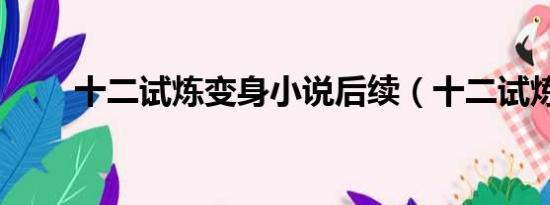 十二試煉變身小說后續(xù)（十二試煉）