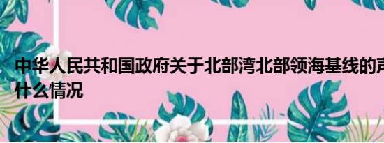 中華人民共和國政府關(guān)于北部灣北部領(lǐng)?；€的聲明 具體是什么情況