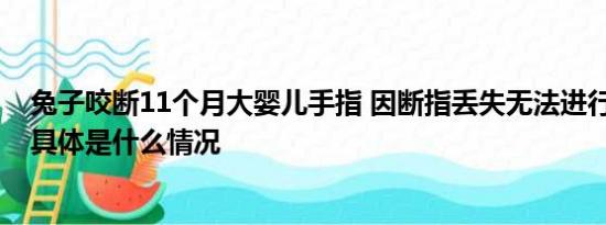 兔子咬斷11個月大嬰兒手指 因斷指丟失無法進(jìn)行再植手術(shù) 具體是什么情況