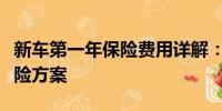 新車第一年保險費用詳解：如何選擇合適的保險方案