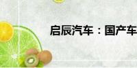 啟辰汽車：國產(chǎn)車的驕傲