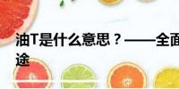 油T是什么意思？——全面解析油T概念及用途