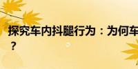探究車(chē)內(nèi)抖腿行為：為何車(chē)身會(huì)隨抖腿而晃動(dòng)？