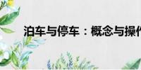 泊車與停車：概念與操作的差異解析