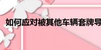 如何應對被其他車輛套牌導致的違章問題？