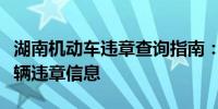 湖南機動車違章查詢指南：快速、準確掌握車輛違章信息