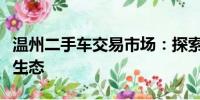 溫州二手車(chē)交易市場(chǎng)：探索繁榮的二手車(chē)交易生態(tài)