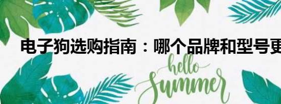 電子狗選購(gòu)指南：哪個(gè)品牌和型號(hào)更好？