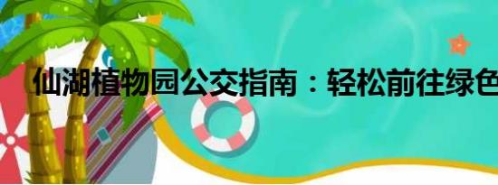 仙湖植物園公交指南：輕松前往綠色天堂