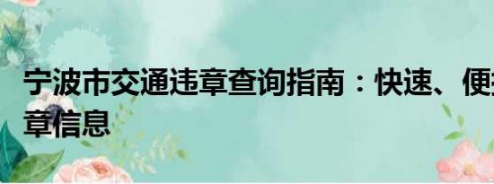 寧波市交通違章查詢指南：快速、便捷獲取違章信息