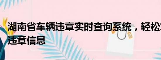湖南省車輛違章實時查詢系統(tǒng)，輕松掌握車輛違章信息