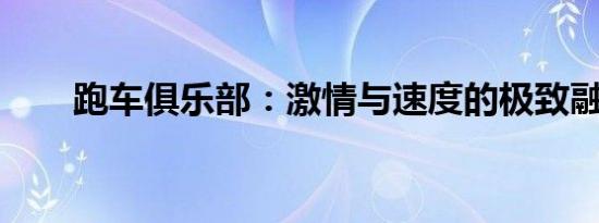 跑車俱樂部：激情與速度的極致融合