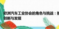 歐洲汽車工業(yè)協(xié)會的角色與挑戰(zhàn)：推動(dòng)歐洲汽車產(chǎn)業(yè)的持續(xù)創(chuàng)新與發(fā)展