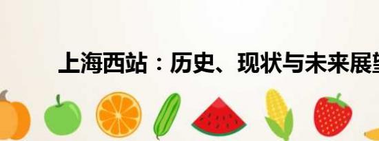 上海西站：歷史、現(xiàn)狀與未來展望