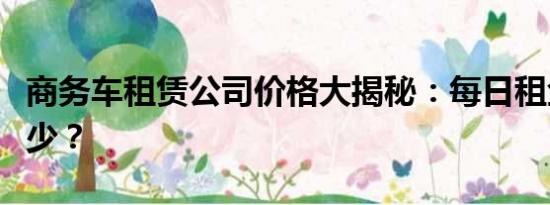 商務(wù)車租賃公司價(jià)格大揭秘：每日租金究竟多少？