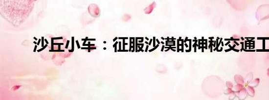沙丘小車：征服沙漠的神秘交通工具