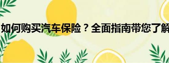 如何購買汽車保險？全面指南帶您了解每一步