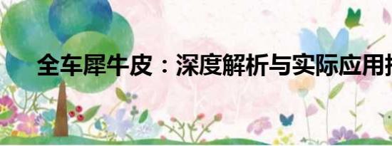 全車犀牛皮：深度解析與實際應(yīng)用指南