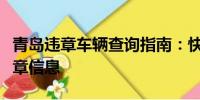 青島違章車輛查詢指南：快速便捷獲取車輛違章信息